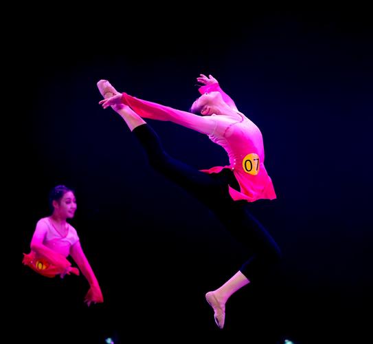 河北艺院舞蹈科有何特色与优势？-第2张图片-泰美艺术培训