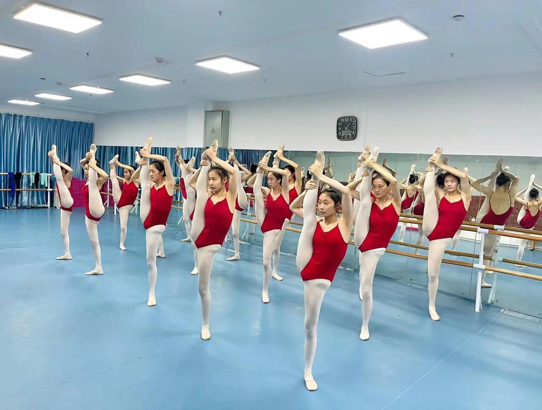 艺考舞蹈学校有哪些?-第1张图片-泰美艺术培训 艺考舞蹈学校有哪些?-第1张图片-泰美艺术培训