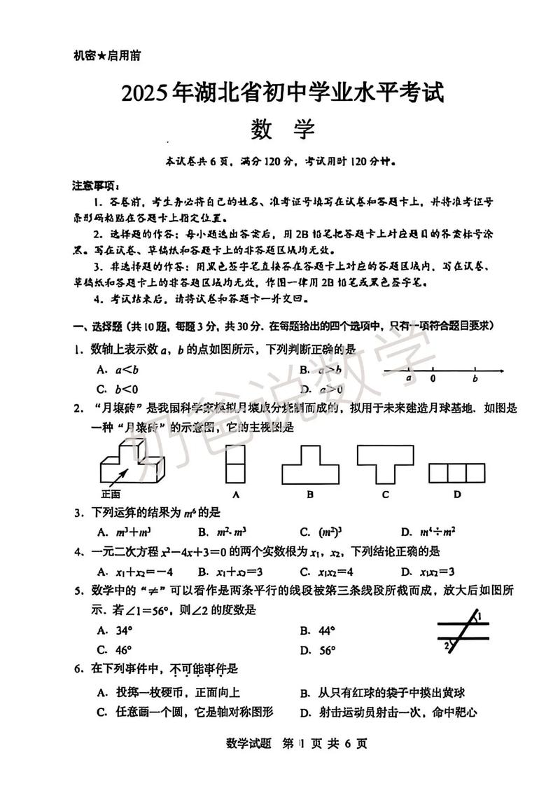 湖北山东2025大联考有何新变化？-第1张图片-泰美艺术培训