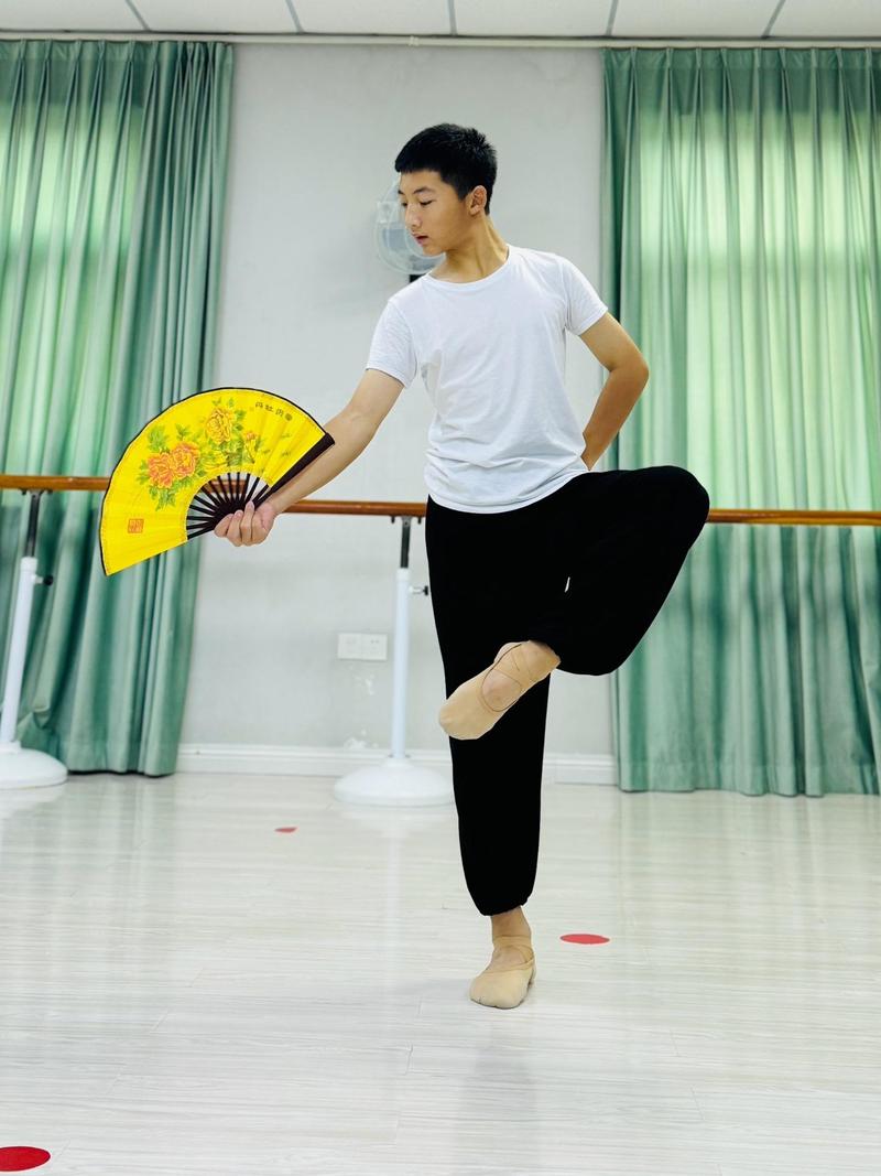 广东舞蹈艺考男生人数有多少?-第3张图片-泰美艺术培训 广东舞蹈艺考男生人数有多少?-第3张图片-泰美艺术培训