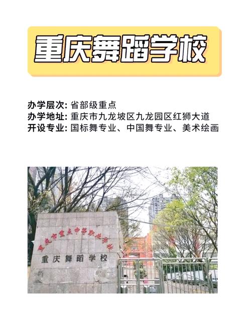 重庆师范大学舞蹈学怎么招生？-第2张图片-泰美艺术培训