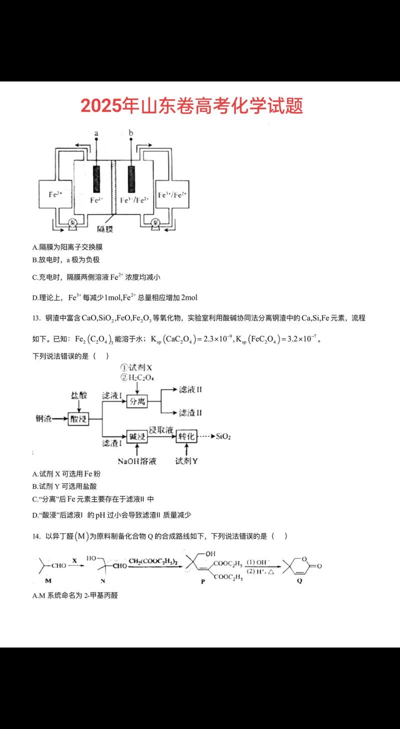 2025承认山东省联考-第3张图片-泰美艺术培训