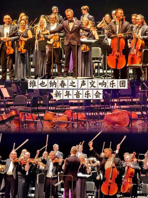 2025山师大音乐联考考什么？-第3张图片-泰美艺术培训