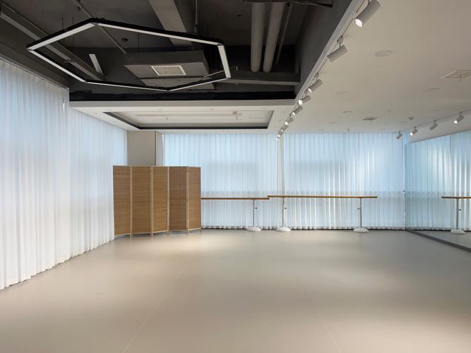 天津商业大学附近舞蹈室哪家好？-第3张图片-泰美艺术培训