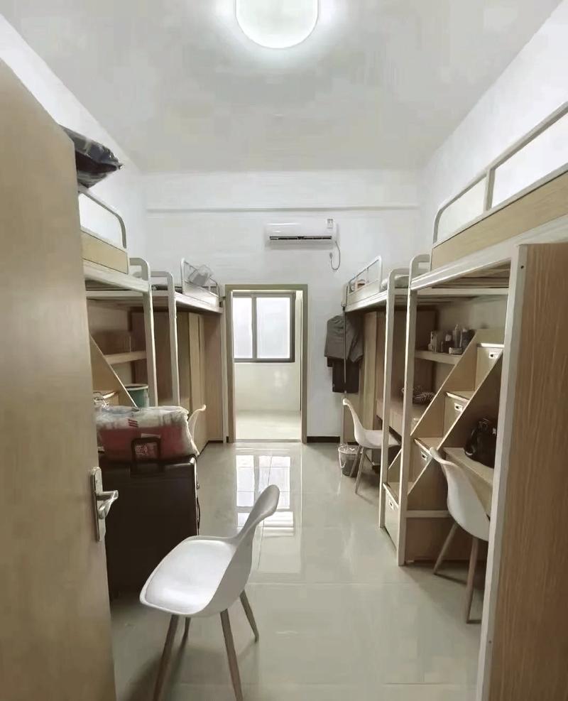 东湖学院大专(美术)招生条件有哪些？-第2张图片-泰美艺术培训