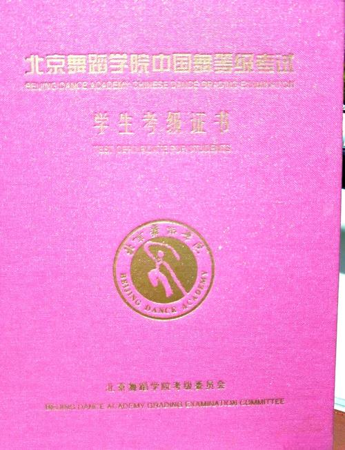 舞蹈老师考级有要求吗？-第2张图片-泰美艺术培训