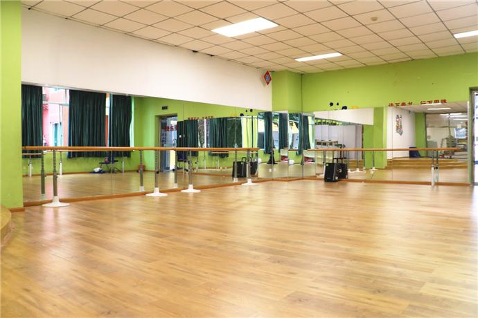 舞蹈专业学校有哪些？-第3张图片-泰美艺术培训
