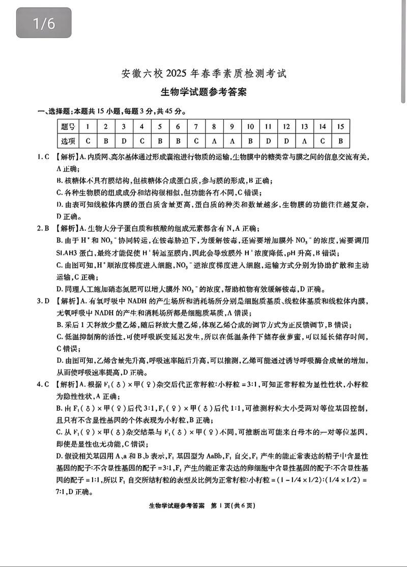 2025届六校联考答案哪里找?-第1张图片-泰美艺术培训 2025届六校联考答案哪里找?-第1张图片-泰美艺术培训