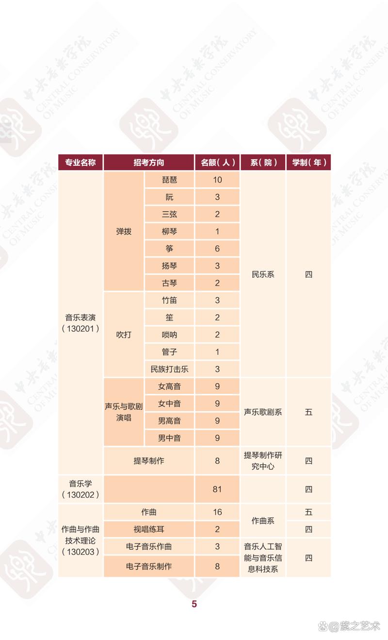 2025音乐类专业排名哪些高校领跑？-第3张图片-泰美艺术培训