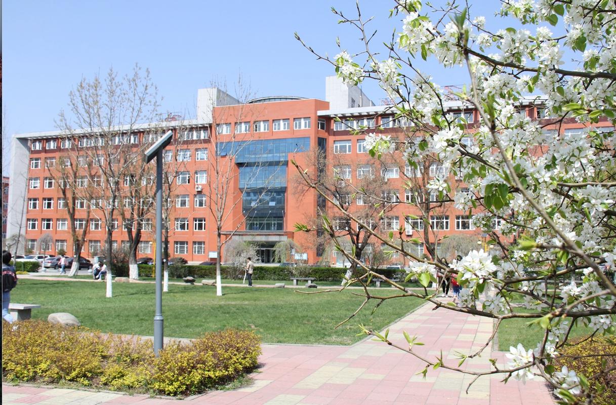 通化师范美术专业怎么样？值得读吗？-第2张图片-泰美艺术培训