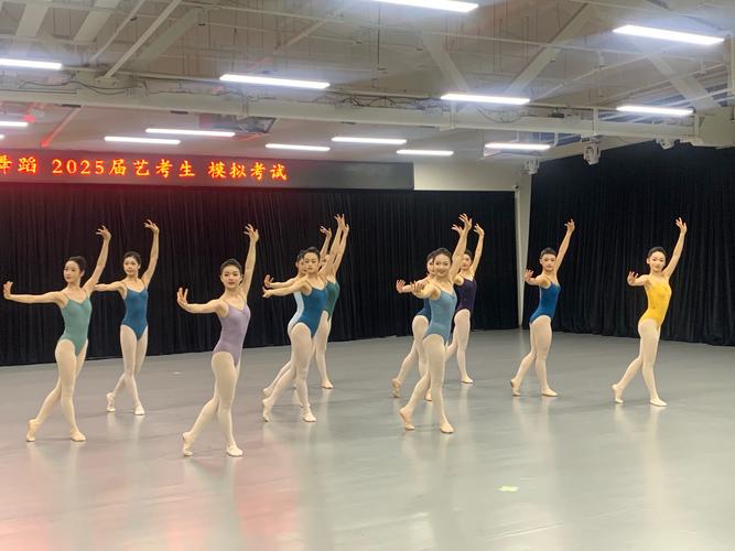 艺考舞蹈类型有哪些?-第1张图片-泰美艺术培训 艺考舞蹈类型有哪些?-第1张图片-泰美艺术培训