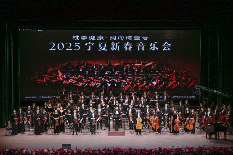 宁夏2025音乐联考有何新变化？-第2张图片-泰美艺术培训