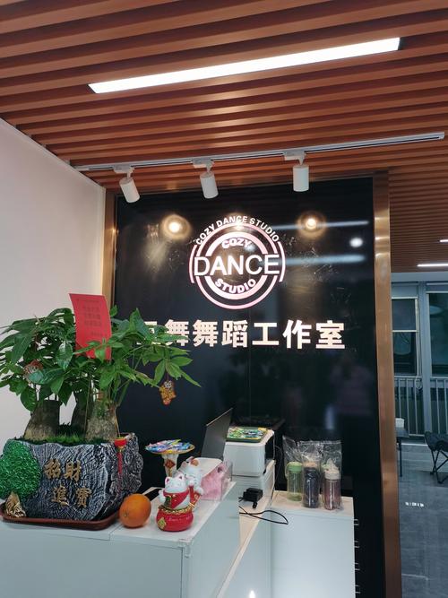 青海舞蹈艺考培训机构哪家好？-第2张图片-泰美艺术培训