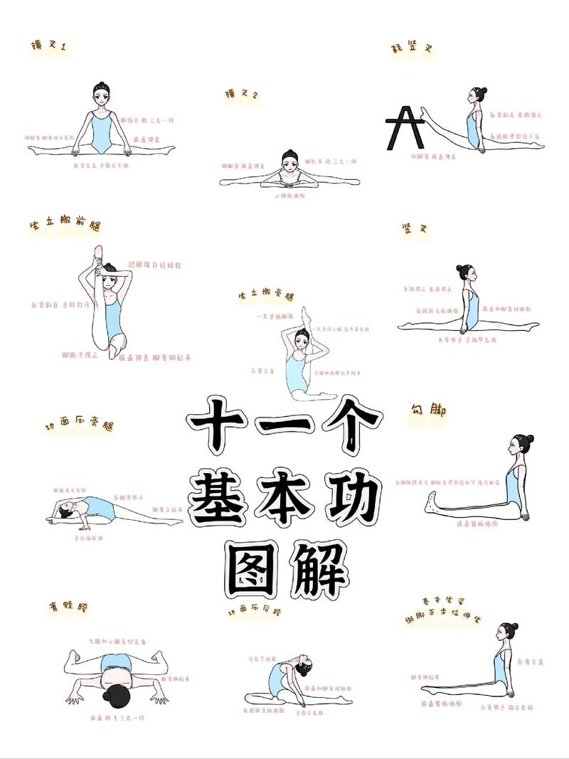 舞蹈艺考形体评分标准有哪些？-第2张图片-泰美艺术培训