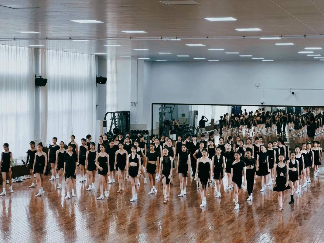 广州体院舞蹈专业研究生-第1张图片-泰美艺术培训