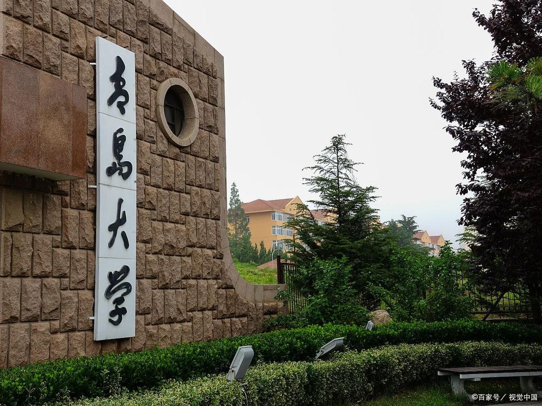 青岛威海哪些大学承认联考成绩？-第1张图片-泰美艺术培训