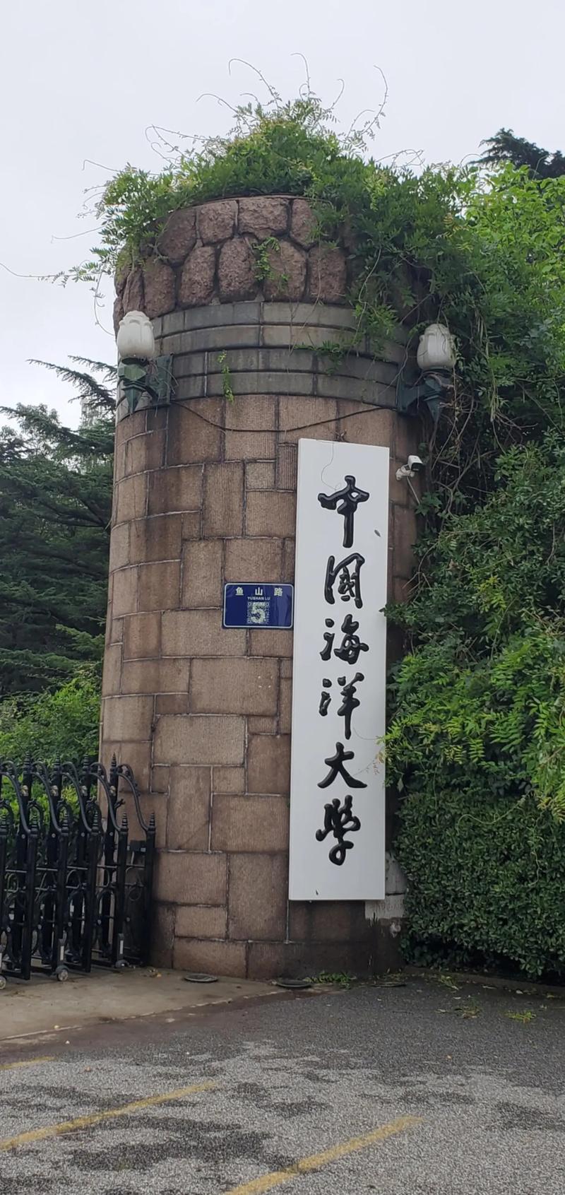 青岛威海哪些大学承认联考成绩？-第2张图片-泰美艺术培训