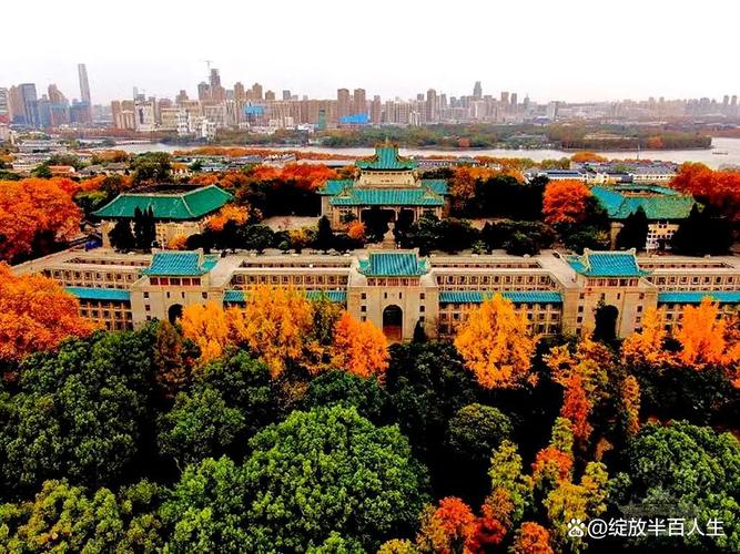 武汉大学2025音乐类招生有何新变化？-第1张图片-泰美艺术培训