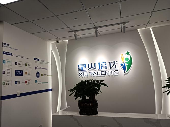 北京星火艺考培训机构怎么样？-第1张图片-泰美艺术培训