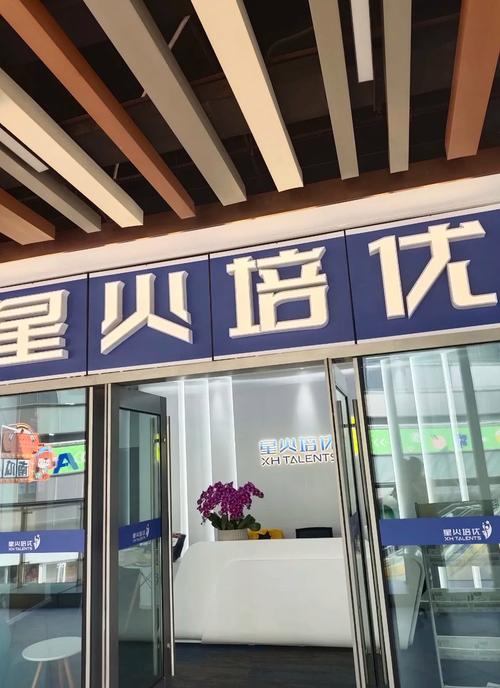 北京星火艺考培训机构怎么样？-第2张图片-泰美艺术培训