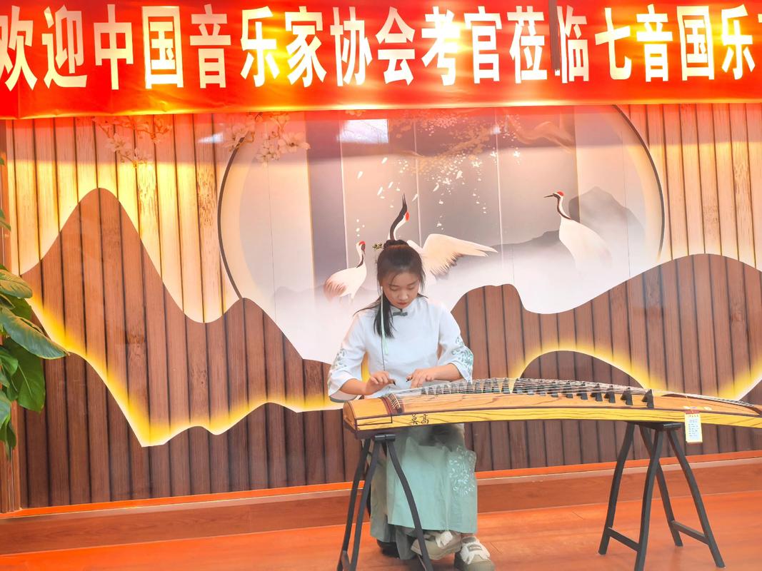 古筝艺考服装选什么？-第2张图片-泰美艺术培训