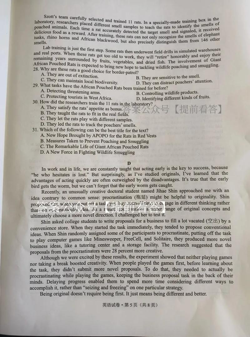 2025高三梧桐市联考考什么？-第1张图片-泰美艺术培训