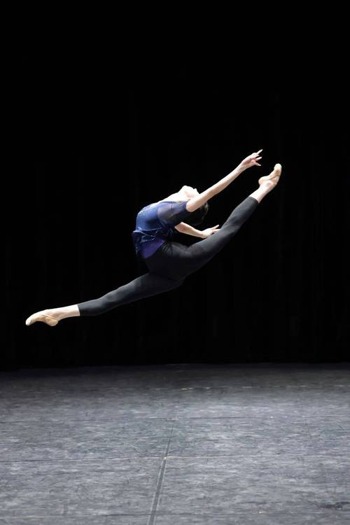 2025年艺考舞蹈类-第1张图片-泰美艺术培训