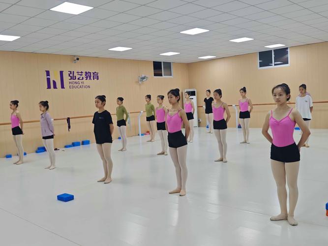 舞蹈教育大专学校有哪些？-第1张图片-泰美艺术培训