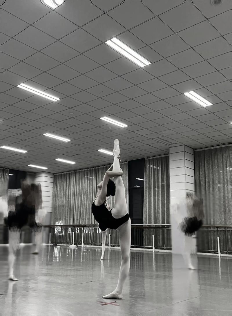 武汉体育学院舞蹈专升本怎么考?-第1张图片-泰美艺术培训 武汉体育学院舞蹈专升本怎么考?-第1张图片-泰美艺术培训