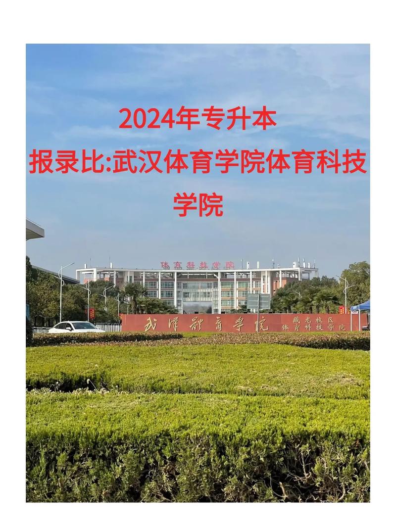 武汉体育学院舞蹈专升本怎么考？-第3张图片-泰美艺术培训