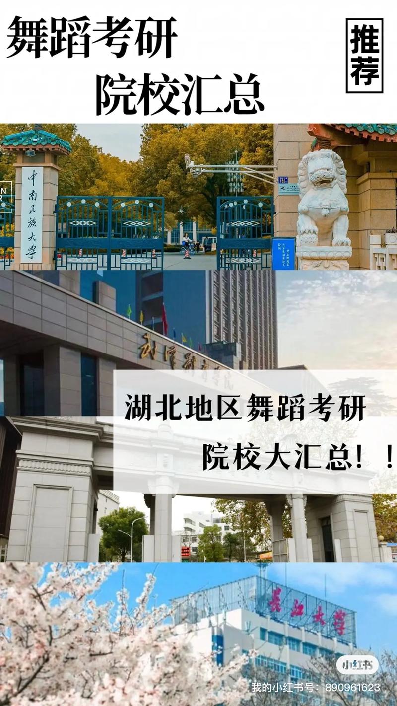 湖北有哪些大学招收舞蹈专业？-第2张图片-泰美艺术培训