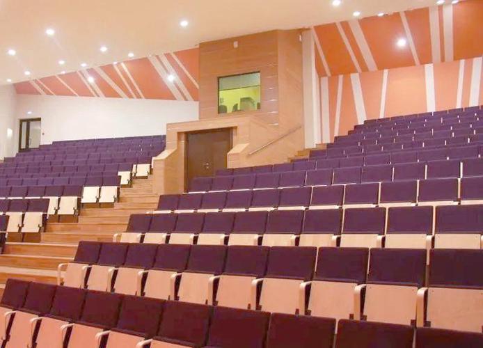 格拉祖诺夫音乐艺术学校有何独特魅力？-第2张图片-泰美艺术培训