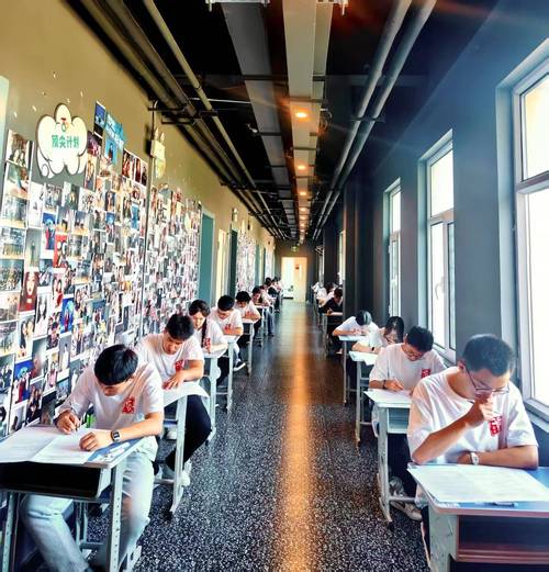 艺考培训机构乱象何时休？-第1张图片-泰美艺术培训