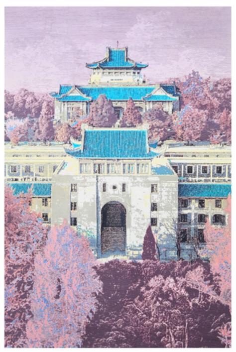 2025武大美术招生政策何时公布？-第1张图片-泰美艺术培训