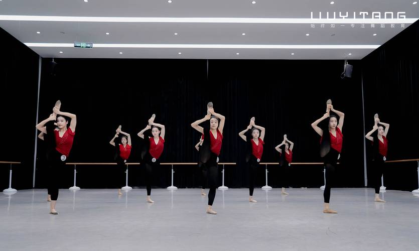 河南高考体育舞蹈类怎么考?-第3张图片-泰美艺术培训 河南高考体育舞蹈类怎么考?-第3张图片-泰美艺术培训