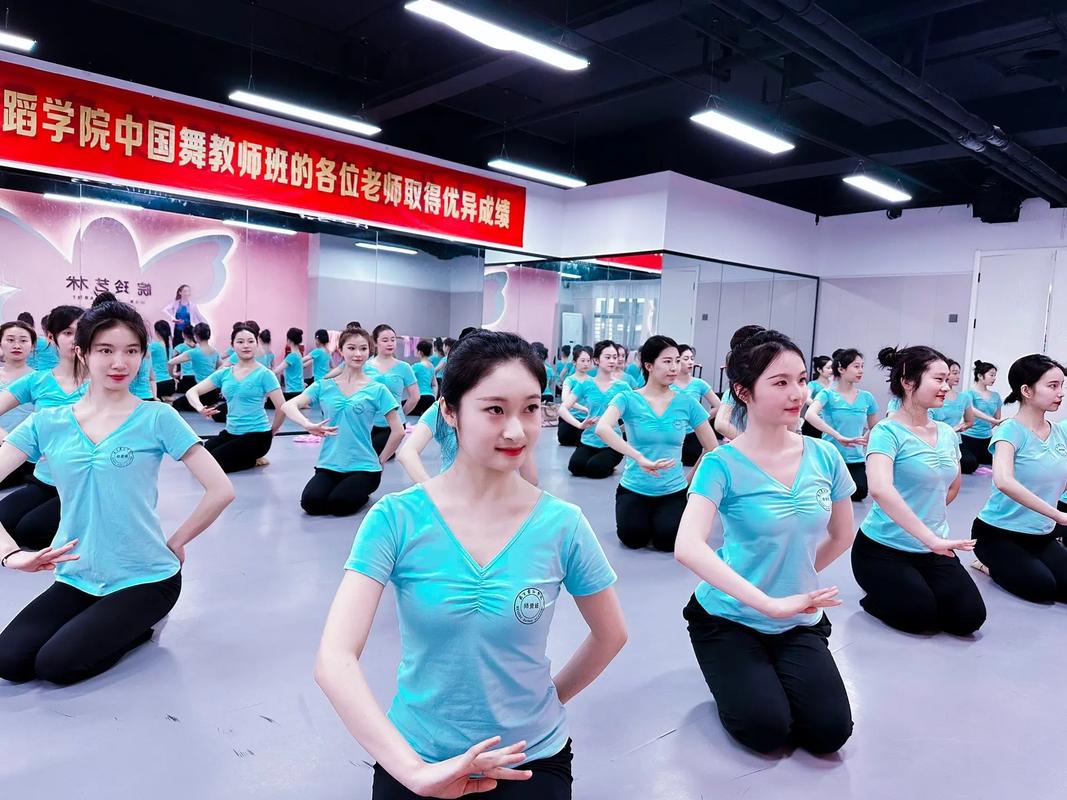 哪些专科院校开设舞蹈专业？-第3张图片-泰美艺术培训