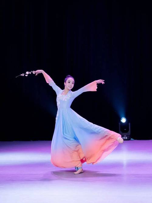 2025舞蹈本科文化课分数线有何变化?-第2张图片-泰美艺术培训 2025舞蹈本科文化课分数线有何变化?-第2张图片-泰美艺术培训