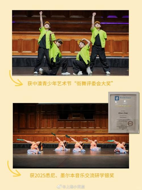 2025上海舞蹈团招人，有何岗位要求？-第3张图片-泰美艺术培训