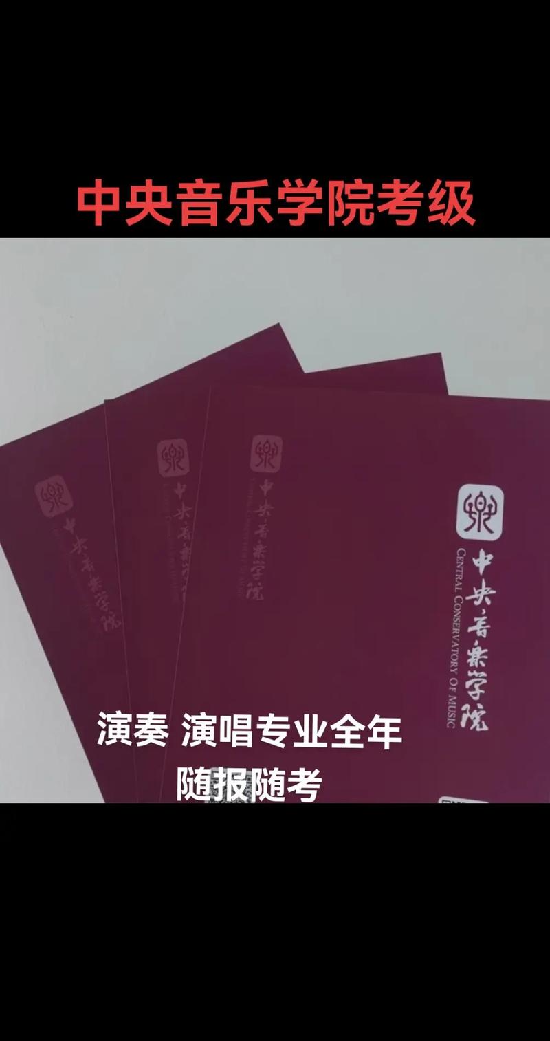 中央音乐学院考级成绩怎么查？-第2张图片-泰美艺术培训