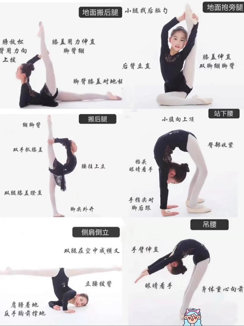 师范舞蹈专业报考需满足哪些条件？-第3张图片-泰美艺术培训