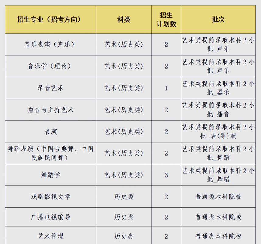 2025川音舞蹈多少分-第2张图片-泰美艺术培训