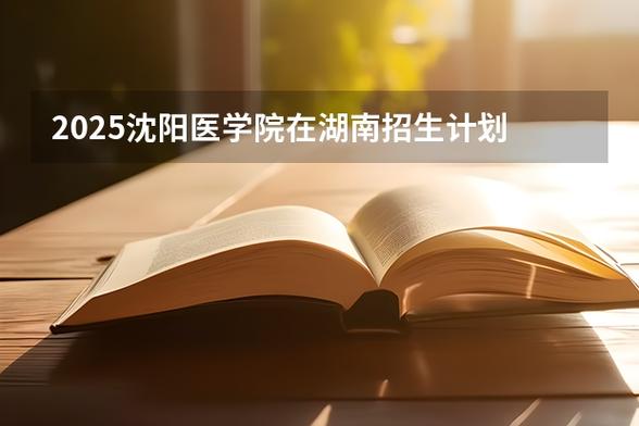 2025沈阳音乐学院招生政策有何变化？-第3张图片-泰美艺术培训