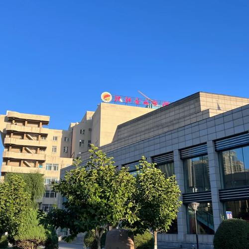 沈阳音乐学院南校区有何特色或优势？-第1张图片-泰美艺术培训