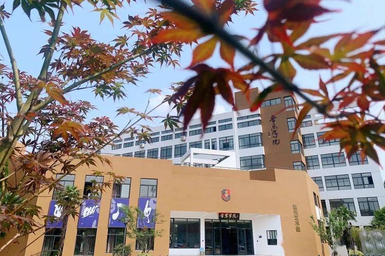 南京师范大学音乐学院吧是什么？-第1张图片-泰美艺术培训