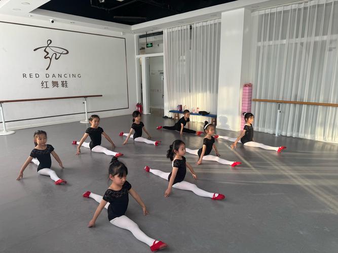 浙江专业舞蹈学校有哪些？-第3张图片-泰美艺术培训