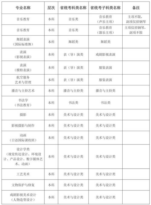 联考艺术大学有哪些专业可选？-第3张图片-泰美艺术培训