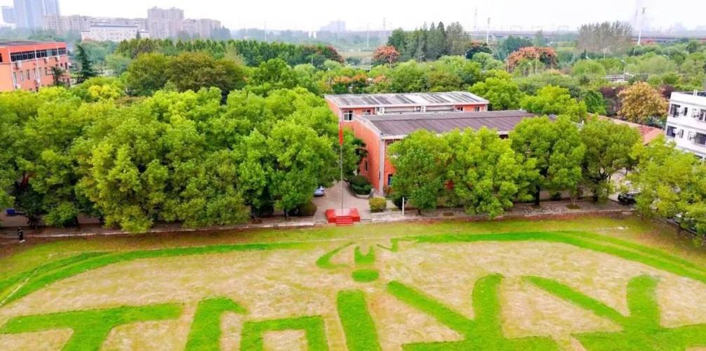 武汉体育舞蹈学校在哪里-第2张图片-泰美艺术培训