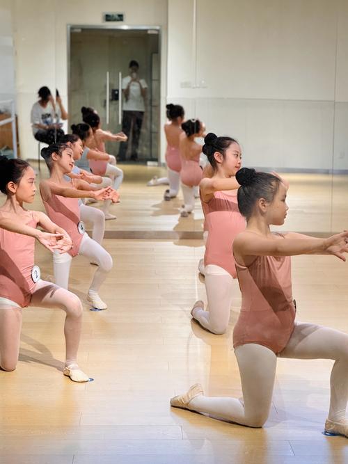 北京舞蹈学院2025级招生何时启动？-第1张图片-泰美艺术培训