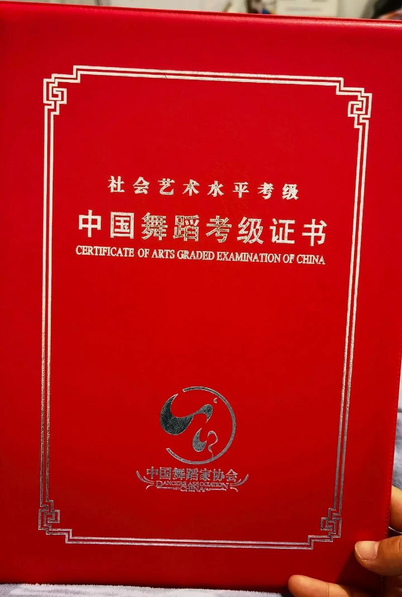 社会舞蹈考级证书分哪几种？-第2张图片-泰美艺术培训