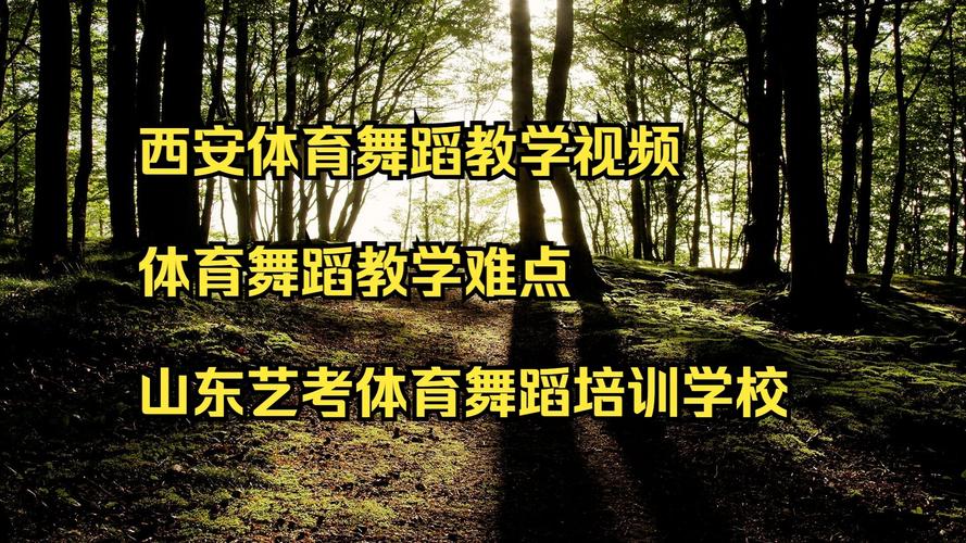 体育舞蹈艺考招生PPT有哪些要点？-第2张图片-泰美艺术培训